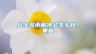 八字丑未相冲会怎么样_重复