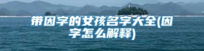 带因字的女孩名字大全(因字怎么解释)