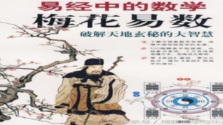 梅花易数预测比赛(说说神奇的易经占卜预测术“梅花易数”的起源)