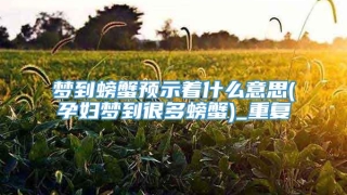梦到螃蟹预示着什么意思(孕妇梦到很多螃蟹)_重复