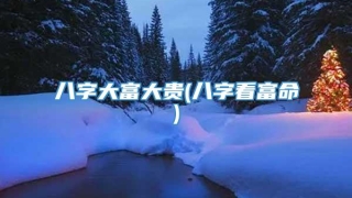 八字大富大贵(八字看富命)