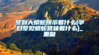 梦到大蟒蛇预示着什么(孕妇梦见蟒蛇意味着什么)_重复