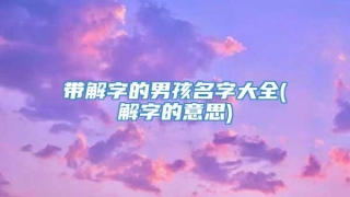 带解字的男孩名字大全(解字的意思)