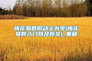 梅花易数取动爻为零(梅花易数入门以及原文)_重复