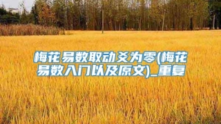 梅花易数取动爻为零(梅花易数入门以及原文)_重复