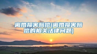 离婚损害赔偿(离婚损害赔偿的相关法律问题)