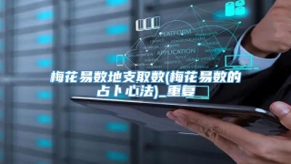 梅花易数地支取数(梅花易数的占卜心法)_重复