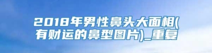 2018年男性鼻头大面相(有财运的鼻型图片)_重复