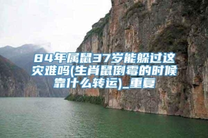 84年属鼠37岁能躲过这灾难吗(生肖鼠倒霉的时候靠什么转运)_重复