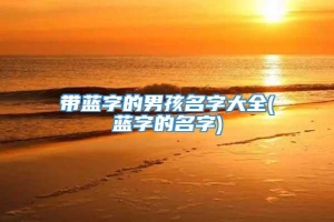 带蓝字的男孩名字大全(蓝字的名字)