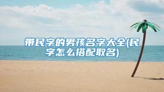 带民字的男孩名字大全(民字怎么搭配取名)