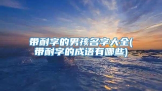 带耐字的男孩名字大全(带耐字的成语有哪些)