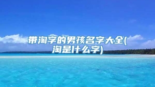 带淘字的男孩名字大全(淘是什么字)