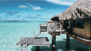 96年出生的女人待人诚挚吗(96年出生的人是什么命)