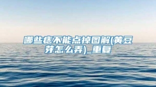 哪些痣不能点掉图解(黄豆芽怎么弄)_重复