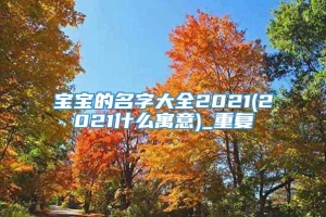 宝宝的名字大全2021(2021什么寓意)_重复