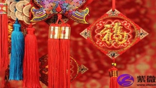 八字怎么看配偶的条件(日柱地支看配偶)