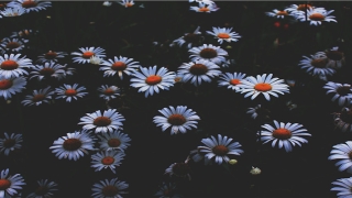 男人脸上的痣图解(克妻男人手相图解)