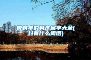 带封字的男孩名字大全(封有什么词语)