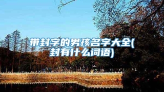 带封字的男孩名字大全(封有什么词语)