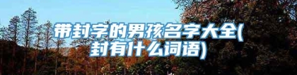 带封字的男孩名字大全(封有什么词语)