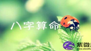 2017最新生辰八字算命查询_重复