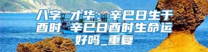 八字 才华:辛巳日生于酉时 辛巳日酉时生命运好吗_重复