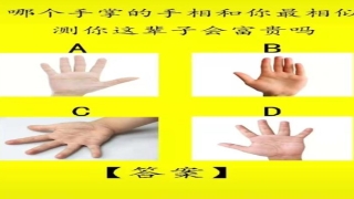 看手掌纹算命运(哪个手掌的手相和你最相似)