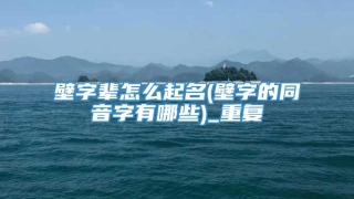 壁字辈怎么起名(壁字的同音字有哪些)_重复
