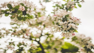 带杰的名字男孩(关于杰的男孩小名)