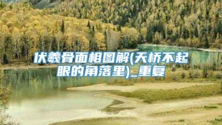 伏羲骨面相图解(天桥不起眼的角落里)_重复