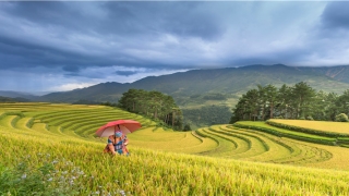 53年属什么?(53年属什么2022年多大)_重复