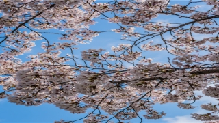 禄存星入财帛宫(如何利用易经改变一个人的财运)