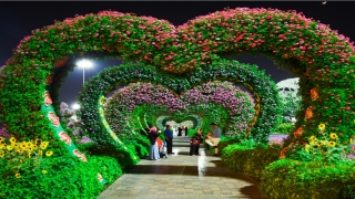 男人鼻孔周围有痣好吗(鼻孔向上的男人)