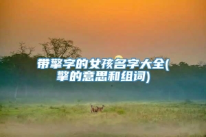 带擎字的女孩名字大全(擎的意思和组词)