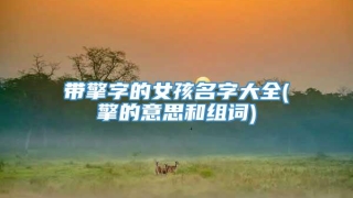 带擎字的女孩名字大全(擎的意思和组词)