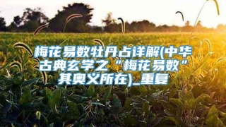 梅花易数牡丹占详解(中华古典玄学之“梅花易数”其奥义所在)_重复