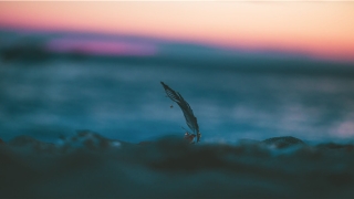 比一比(比一比写一写是啥意思)