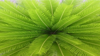 9月8日出生的人命运(这个市半年内3位县委书记落马)