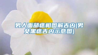 男人面部痣相图解吉凶(男女黑痣吉凶示意图)