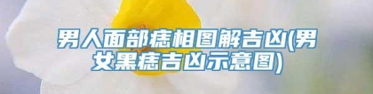 男人面部痣相图解吉凶(男女黑痣吉凶示意图)