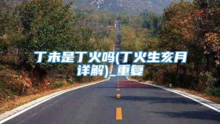 丁未是丁火吗(丁火生亥月详解)_重复