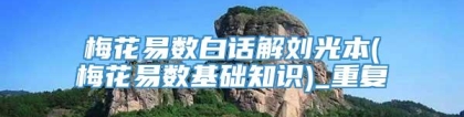 梅花易数白话解刘光本(梅花易数基础知识)_重复