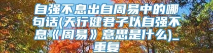 自强不息出自周易中的哪句话(天行健君子以自强不息《周易》意思是什么)_重复