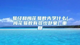 易经和梅花易数先学什么(梅花易数有多少卦象)_重复