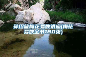 孙绍普梅花易数讲座(梅花易数全书180页)