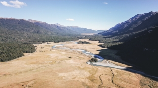 梦到高龄母亲生孩子(女儿梦到上年纪的妈妈生孩子)