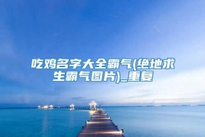 吃鸡名字大全霸气(绝地求生霸气图片)_重复