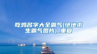 吃鸡名字大全霸气(绝地求生霸气图片)_重复