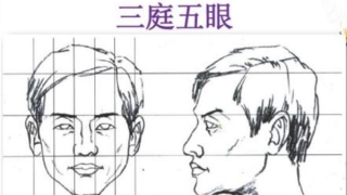 面相中的三庭五眼是什么意思(三庭五眼的五眼)